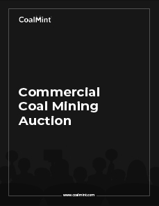 Steel Mint